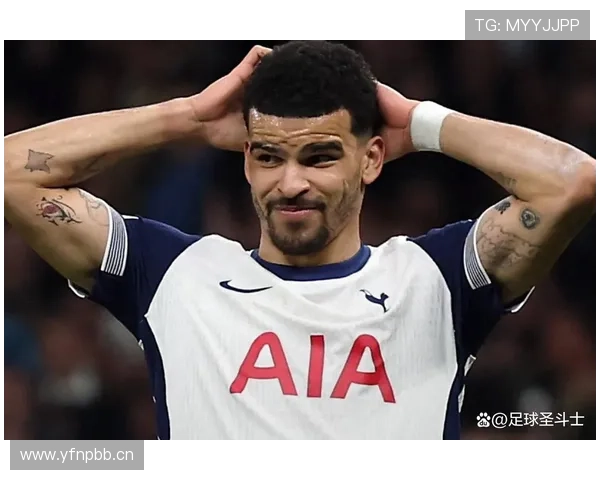 弗拉霍维奇意甲金靴竞争力与锋线角色解析